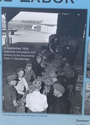 Seasonal Labor Marker top middle image. Click for full size. Seasonal Labor Marker top middle image image. Click for full size.