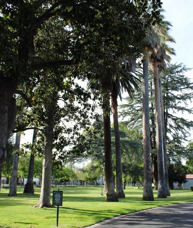 Circle of Palms & Marker. Click for full size. Circle of Palms & Marker image. Click for full size.