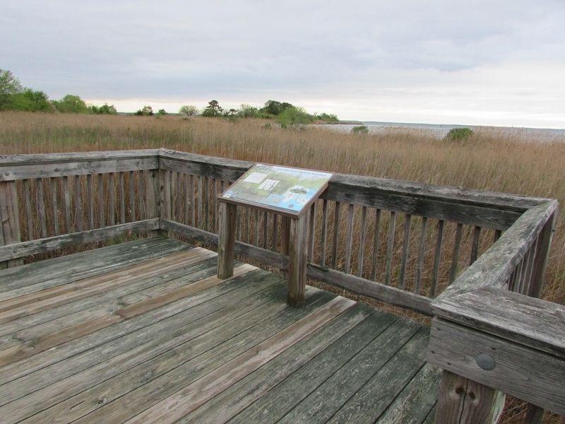 From Marsh to Working Waterway Marker. Click for full size. From Marsh to Working Waterway Marker image. Click for full size.
