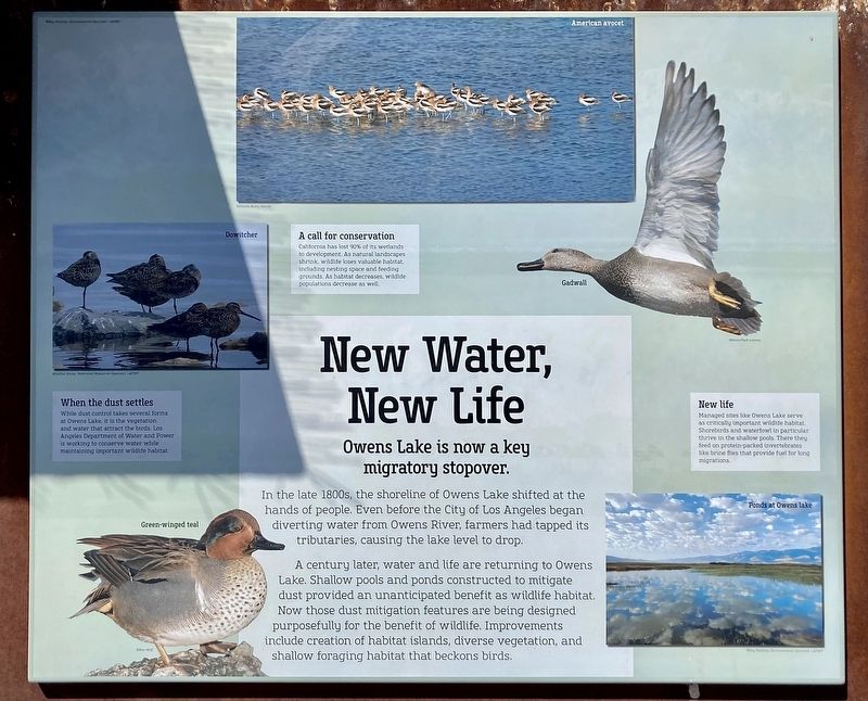 New Water, New Life Marker. Click for full size. New Water, New Life Marker image. Click for full size.