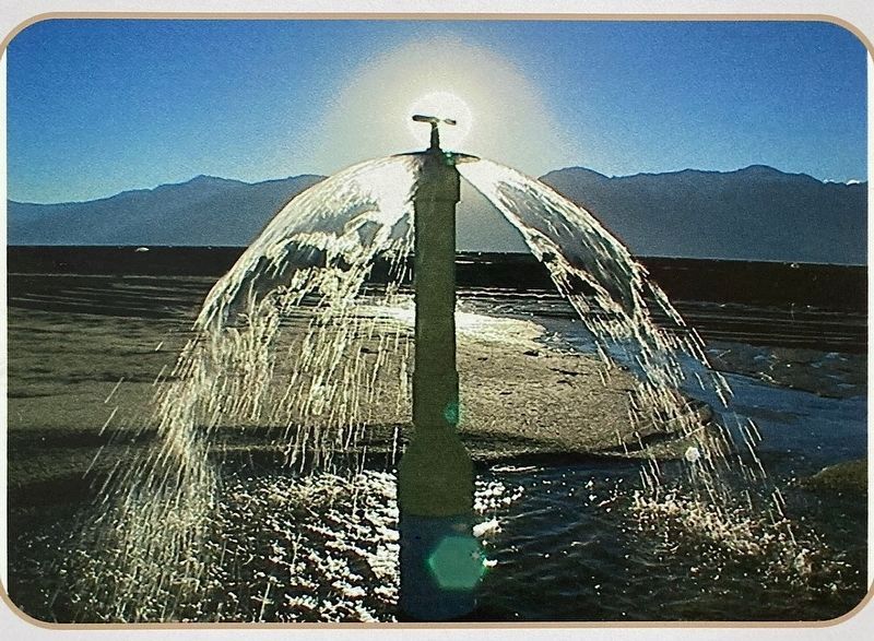 Re-watering Owens Lake image. Click for full size.