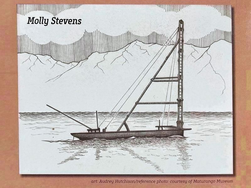 Molly Stevens. Click for full size. Molly Stevens image. Click for full size.