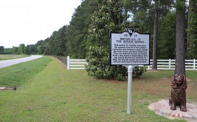 Pine Grove Plantation / Birthplace of the Boykin Spaniel Marker image. Click for full size.