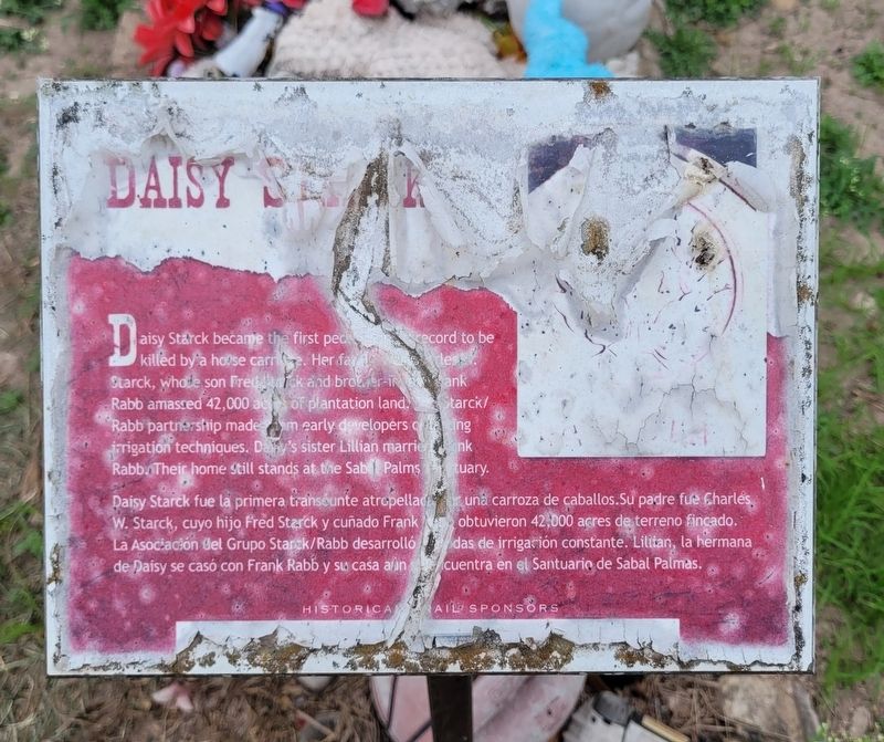 Daisy Starck Marker. Click for full size. Daisy Starck Marker image. Click for full size.