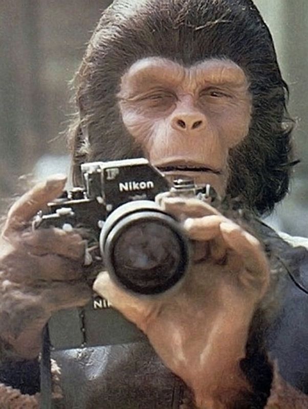 Roddy McDowall image. Click for full size.