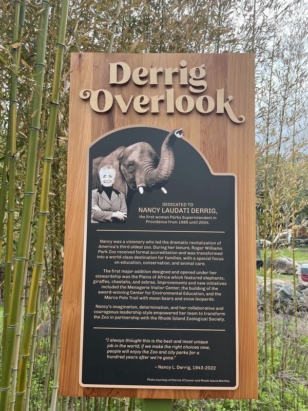 Derrig Overlook Marker image. Click for full size.