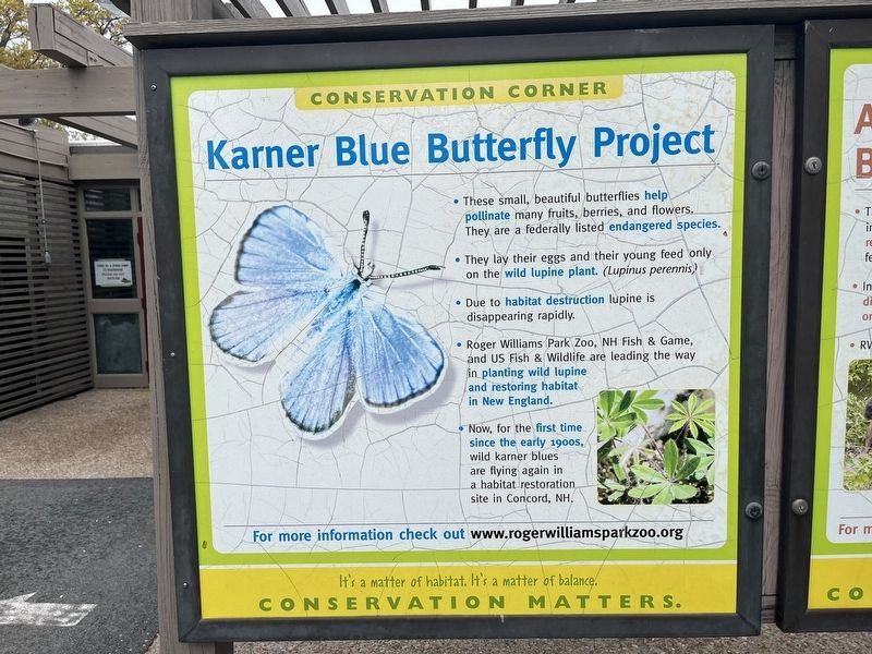 Karner Blue Butterfly Project Marker image. Click for full size.