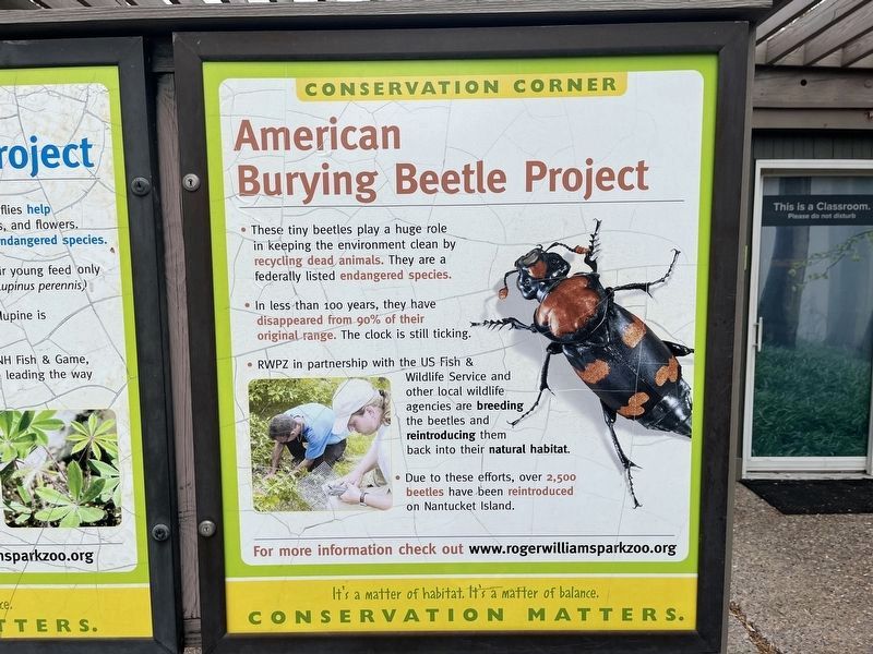 American Burying Beetle Project Marker image. Click for full size.