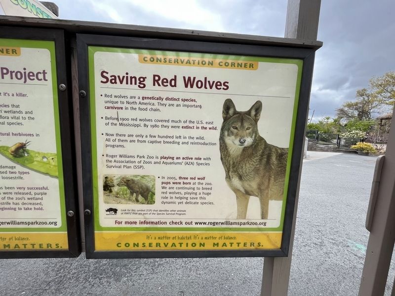 Saving Red Wolves Marker image. Click for full size.