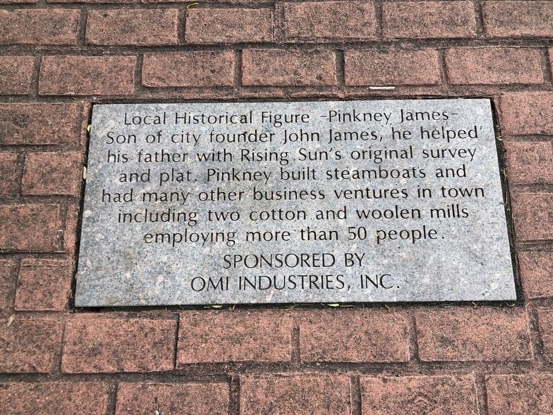 Pinkney James Marker. Click for full size. Pinkney James Marker image. Click for full size.