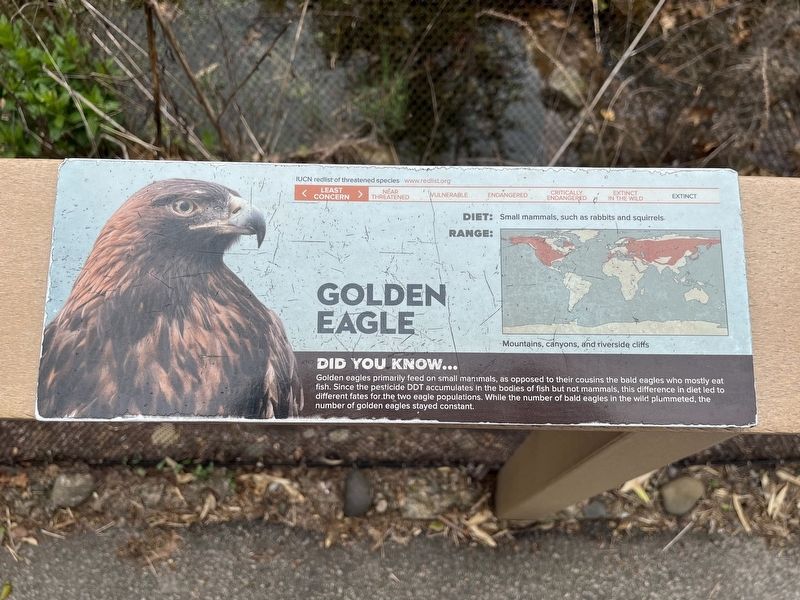 Golden Eagle Marker. Click for full size. Golden Eagle Marker image. Click for full size.
