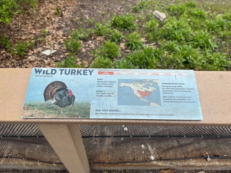 Wild Turkey Marker image. Click for full size.