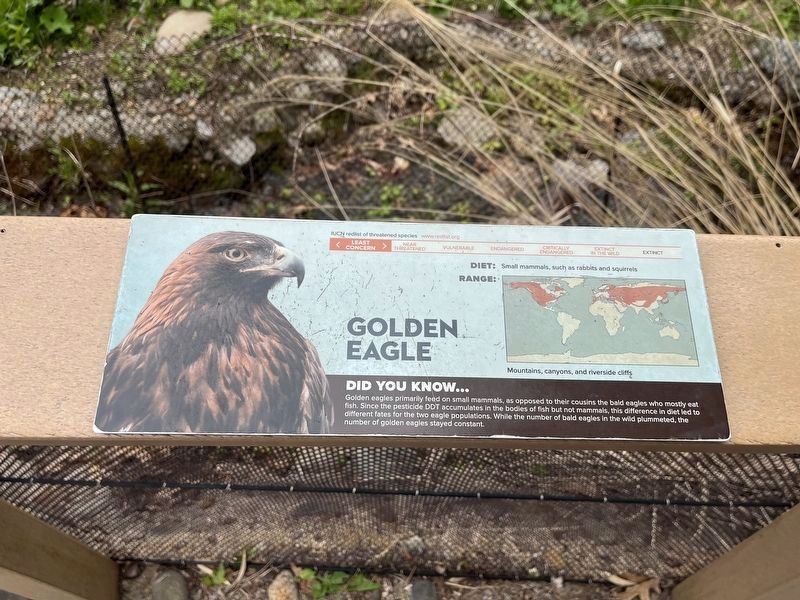 Golden Eagle Marker. Click for full size. Golden Eagle Marker image. Click for full size.