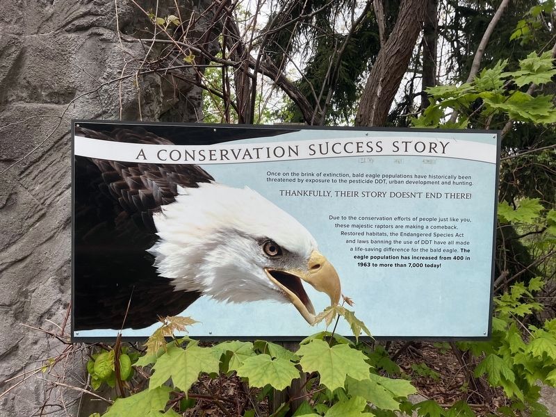 A Conservation Success Story Marker image. Click for full size.
