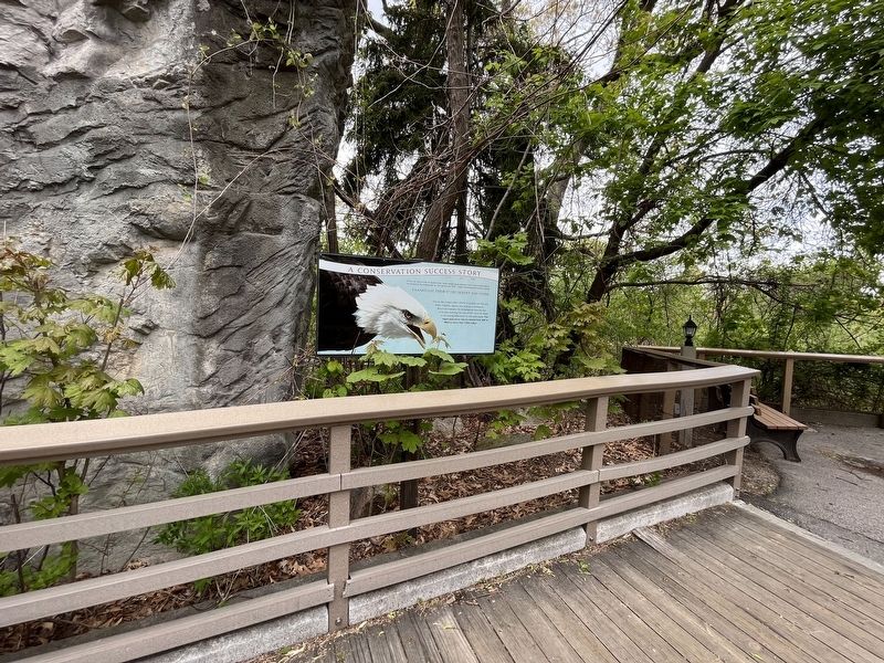 A Conservation Success Story Marker image. Click for full size.