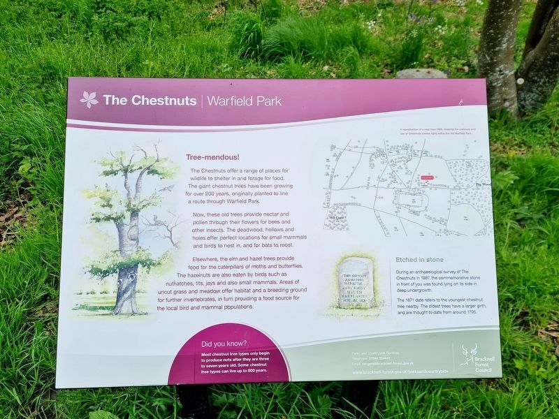 The Chestnuts Marker. Click for full size. The Chestnuts Marker image. Click for full size.