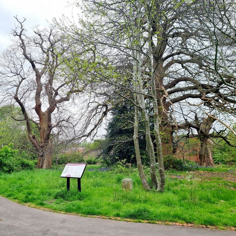 The Chestnuts Marker & Commemorative Stone. Click for full size. The Chestnuts Marker & Commemorative Stone image. Click for full size.