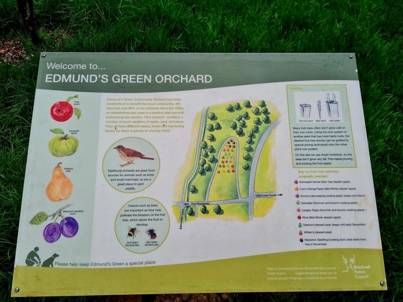 Edmund's Green Orchard Marker. Click for full size. Edmund's Green Orchard Marker image. Click for full size.