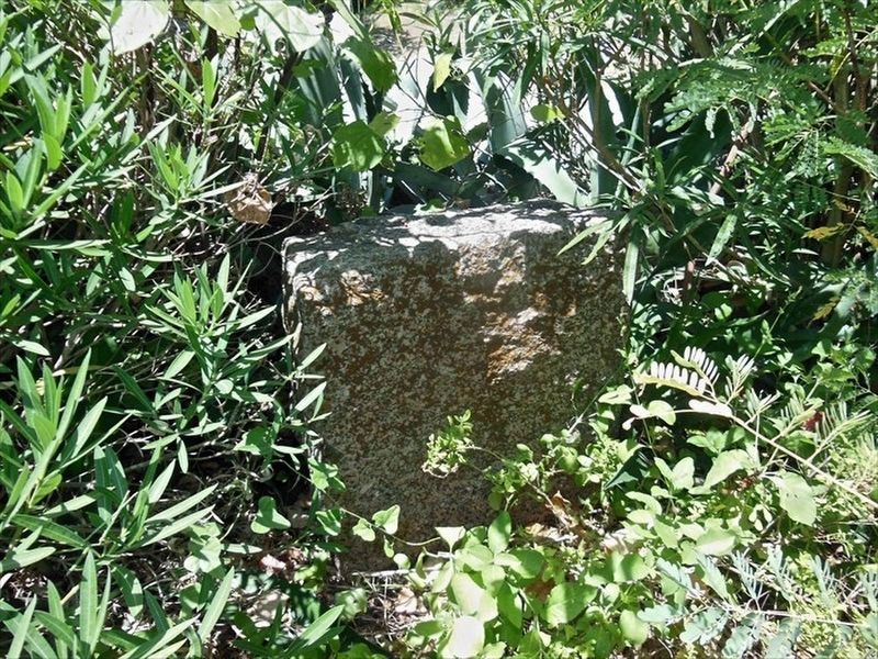 Kings Highway Camino Real Old San Antonio Road Marker. Click for full size. Kings Highway Camino Real Old San Antonio Road Marker image. Click for full size.