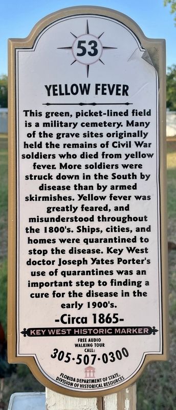Yellow Fever Marker image. Click for full size.