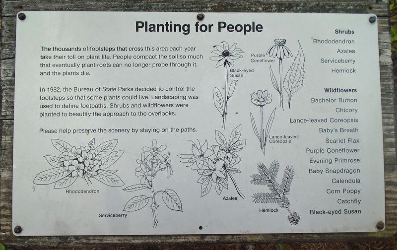 Planting for People Marker image. Click for full size.