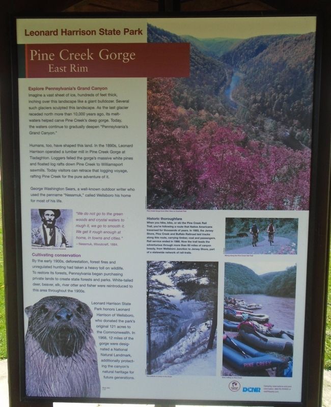 Pine Creek Gorge East Rim Marker. Click for full size. Pine Creek Gorge East Rim Marker image. Click for full size.