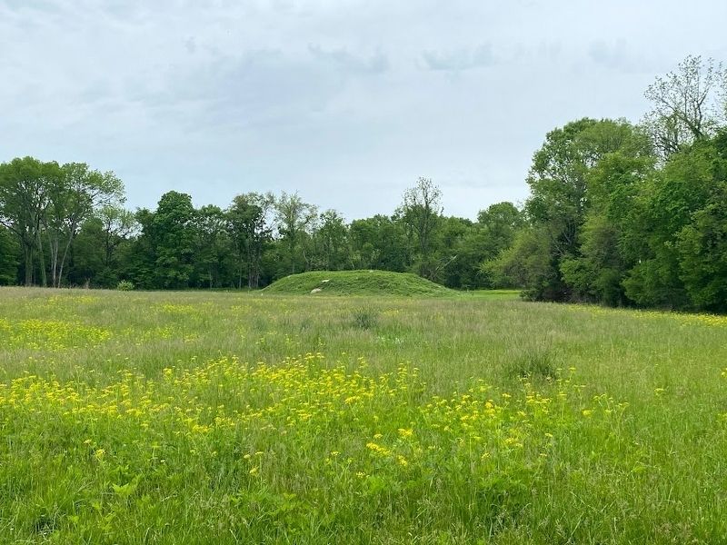 Mississippian Mound at Sellars Farm image. Click for full size.