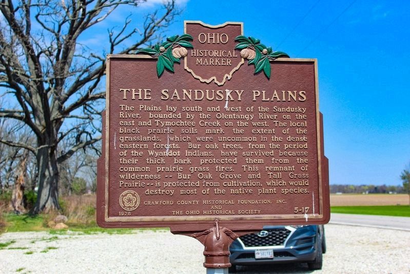 The Sandusky Plains Marker image. Click for full size.