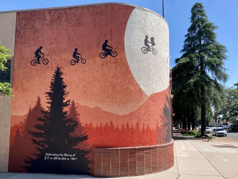 E.T. Movie Mural. Click for full size. E.T. Movie Mural image. Click for full size.