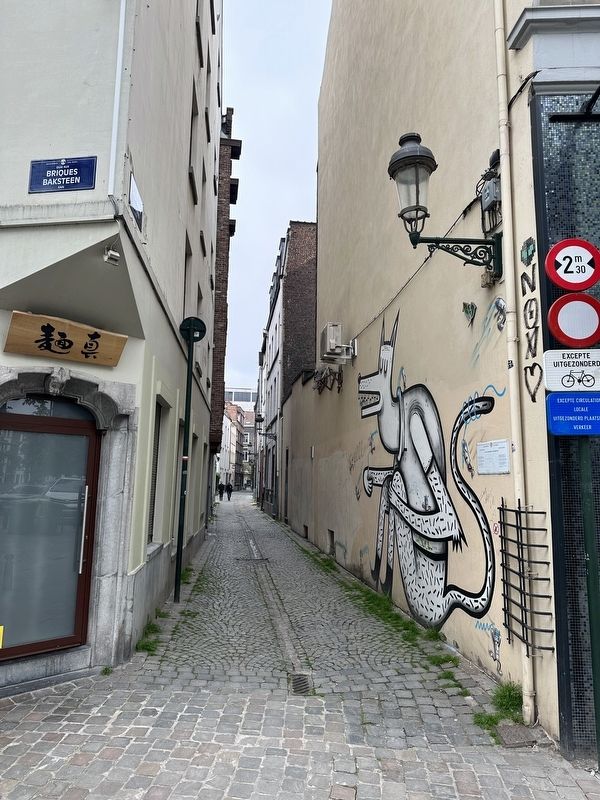 Rue du Chien Marin / Zeehondstraat / �Sea Dog� Street Marker - wide view, looking west image. Click for full size.