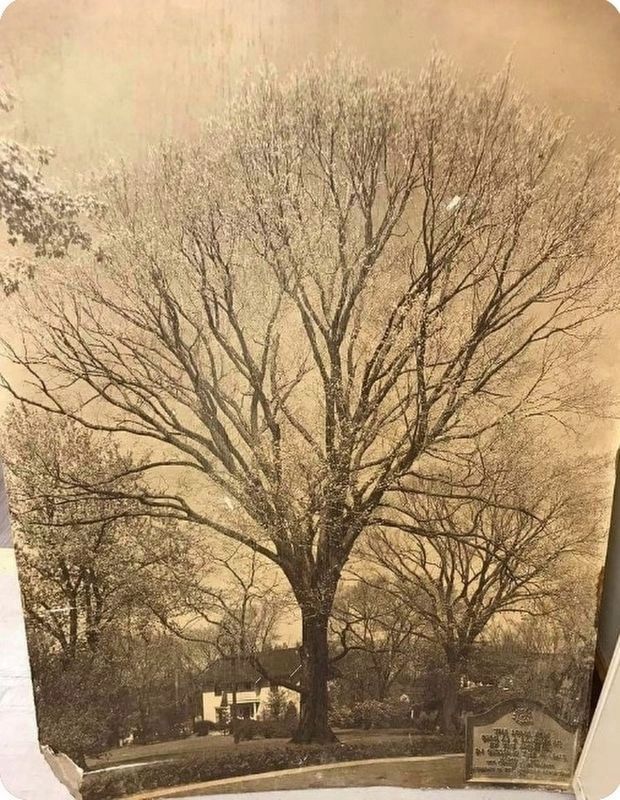 The Early Days Marker. Click for full size. The Early Days Marker image. Click for full size.