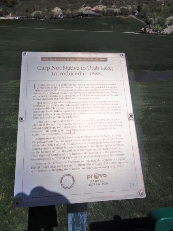 Carp Not Native to Utah Lake; Introduced in 1882 Marker image. Click for full size.