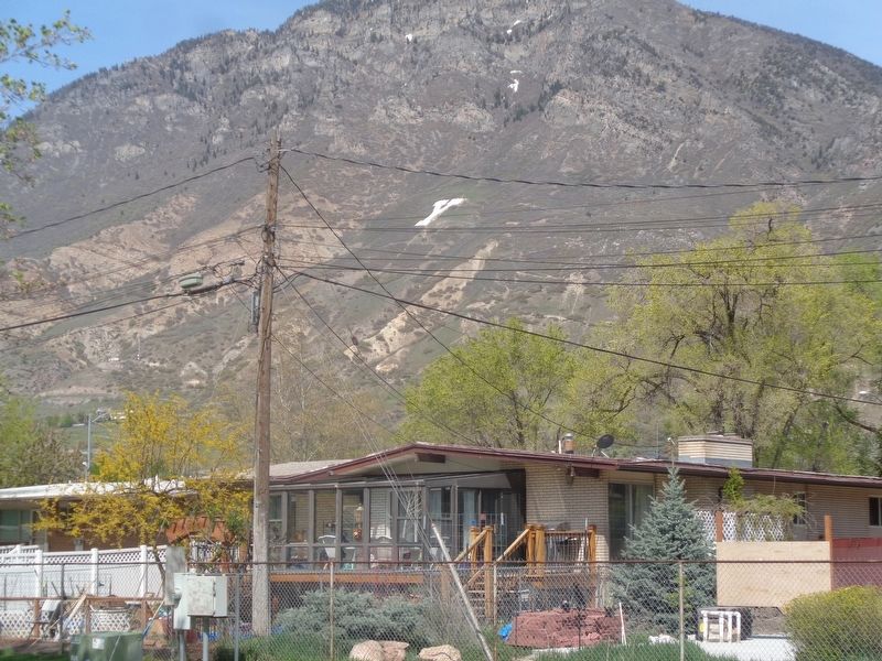 The Y Mountain image. Click for full size.