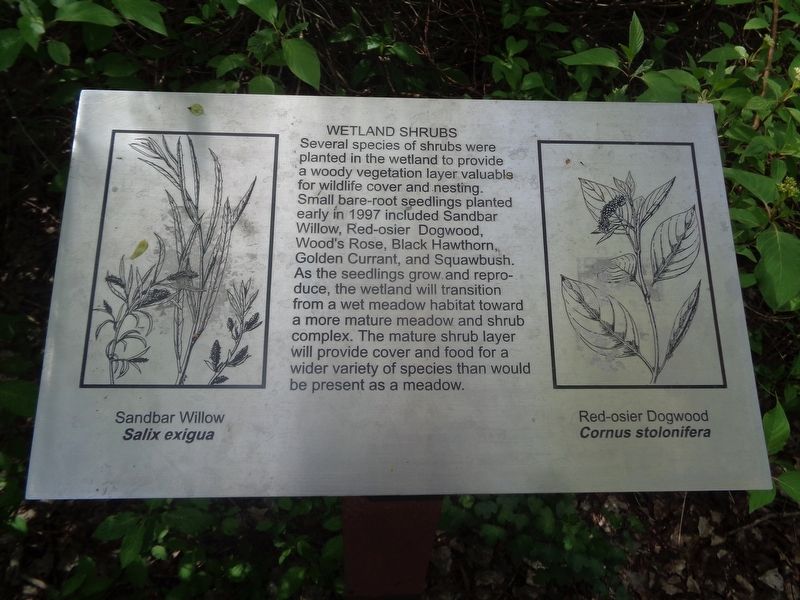 Wetland Shrubs Marker. Click for full size. Wetland Shrubs Marker image. Click for full size.