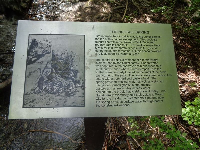 The Nuttall Spring Marker image. Click for full size.