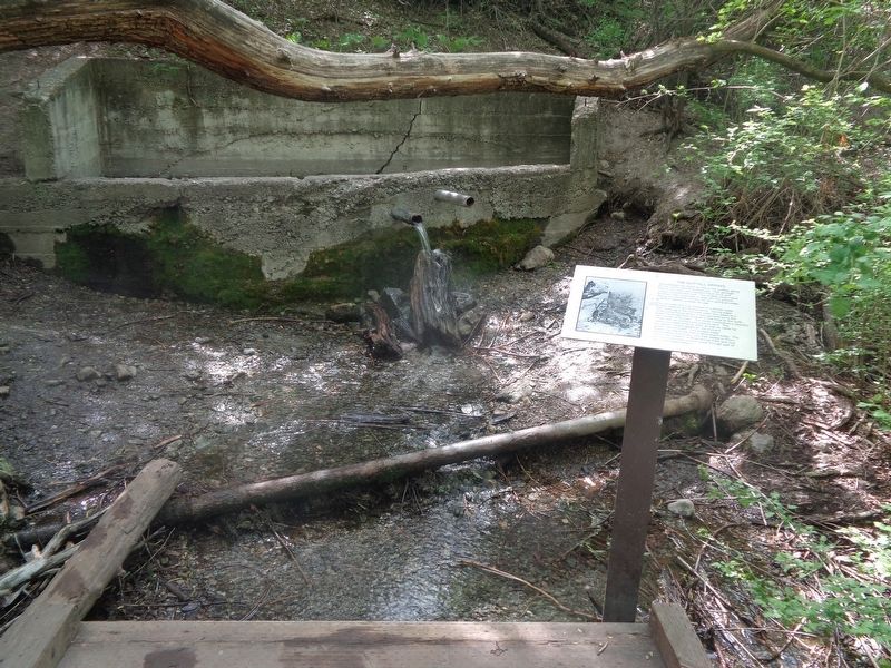 The Nuttall Spring Marker image. Click for full size.