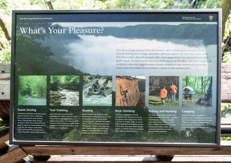 Whats Your Pleasure?. Click for full size. Whats Your Pleasure? image. Click for full size.