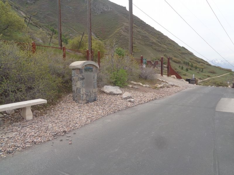 The Y Marker image. Click for full size.