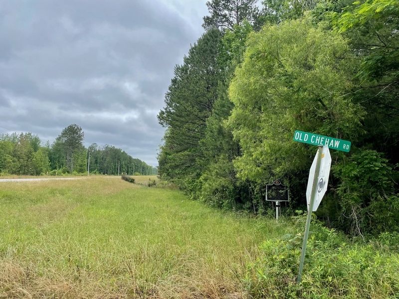 Battle of Chehaw Station Marker looking north on AL-199. image. Click for full size.