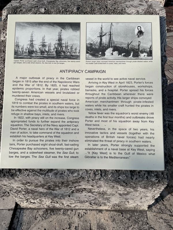 Antipiracy Campaign Marker. Click for full size. Antipiracy Campaign Marker image. Click for full size.