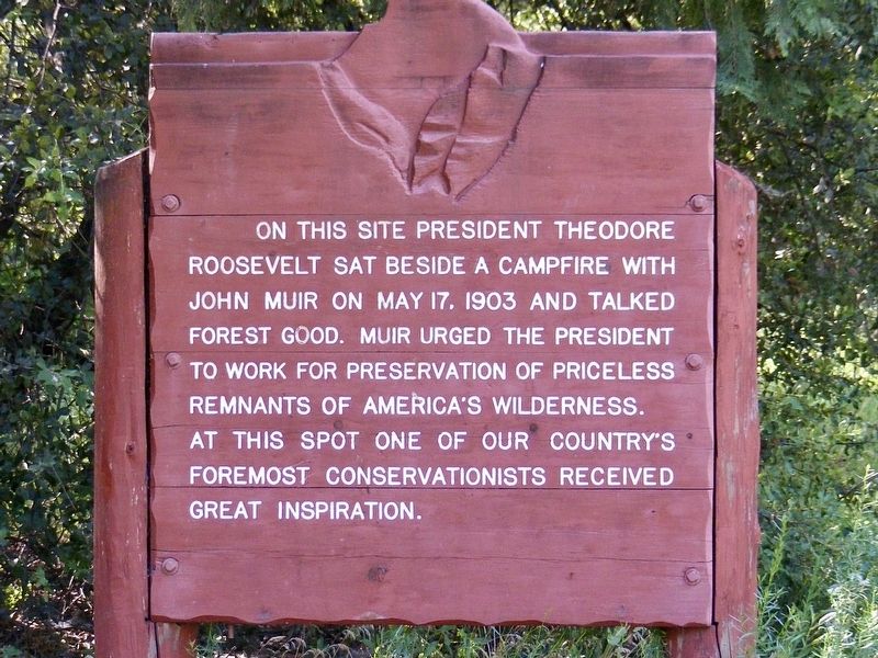 Theodore Roosevelt & John Muir Marker image. Click for full size.