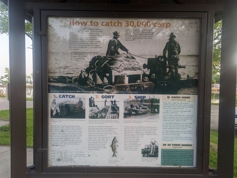How to catch 30,000 carp Marker. Click for full size. How to catch 30,000 carp Marker image. Click for full size.