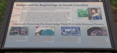 Indigo and Its Beginnings in South Carolina Marker image. Click for full size.