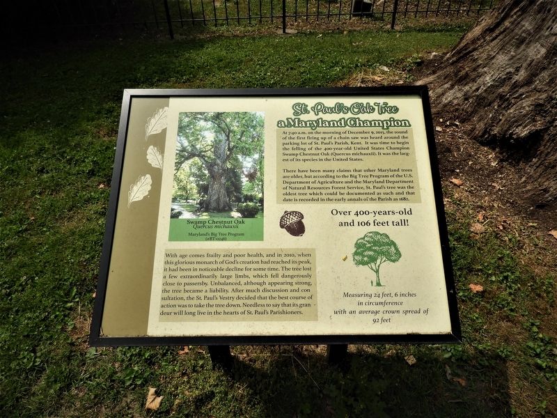 St. Paul's Oak Tree Marker image. Click for full size.