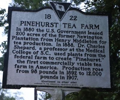 Pinehurst Tea Farm Marker, Side One image. Click for full size.