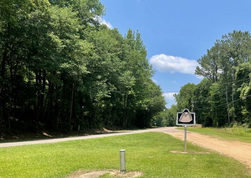 View of reverse side of Chalmers Attacks Marker looking north. image. Click for full size.