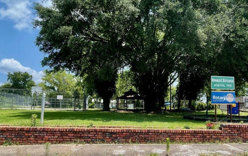 Only marker pole is left. (On left of photo) image. Click for full size.
