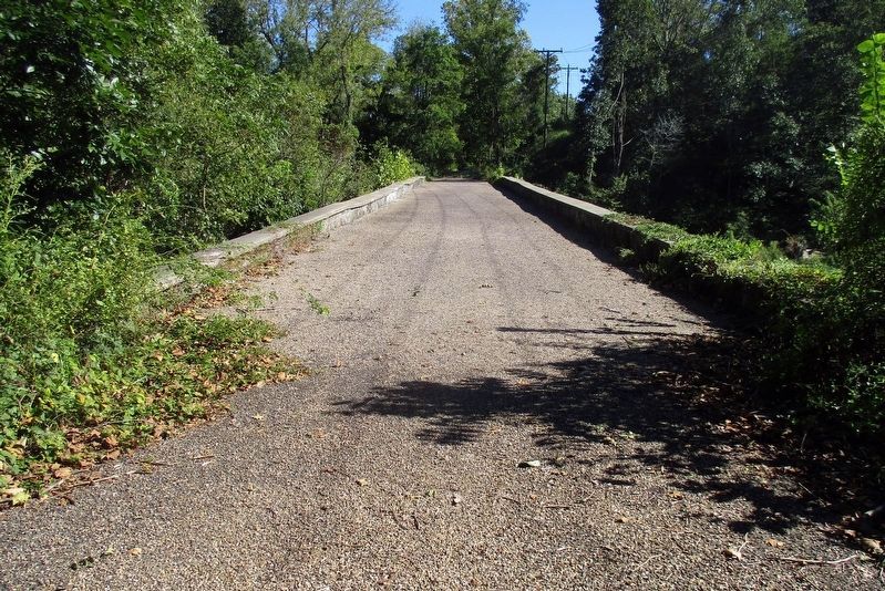 Goose Creek Bridge roadway image. Click for full size.