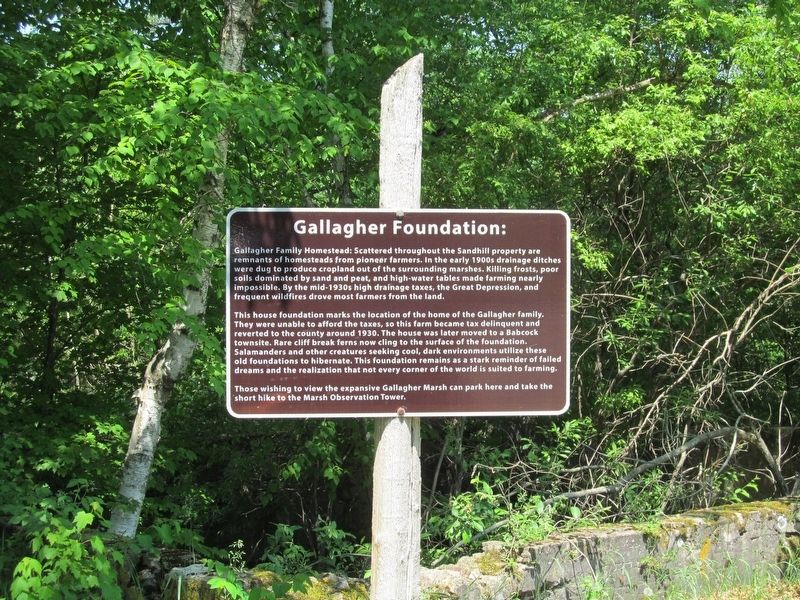 Gallagher Foundation Marker image. Click for full size.