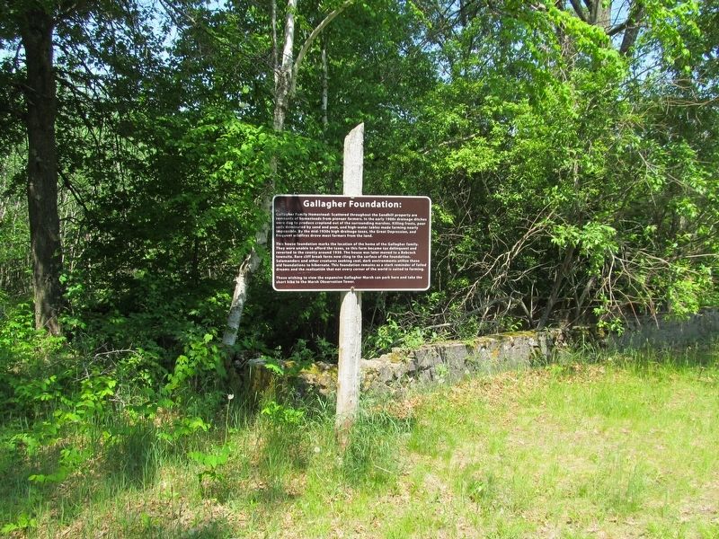 Gallagher Foundation and Marker image. Click for full size.